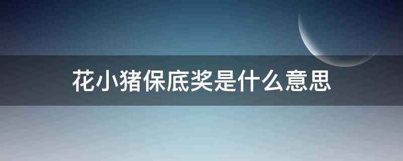 花小猪保底奖是什么意思（花小猪 保底）