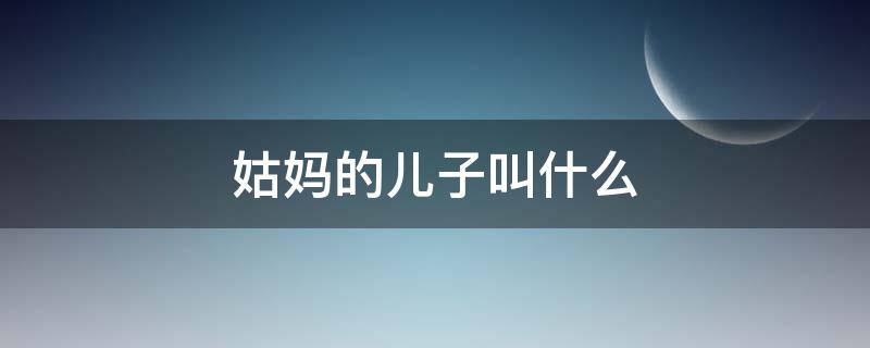 姑妈的儿子叫什么（我的儿子叫我姑妈的儿子叫什么）