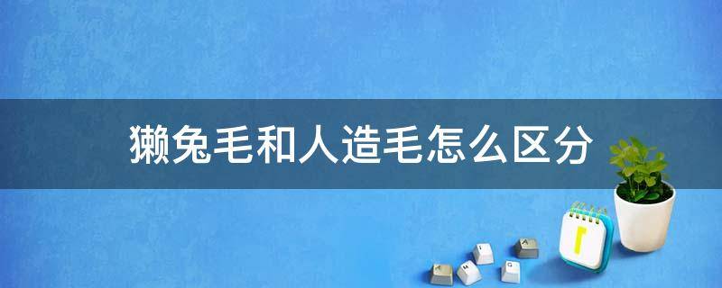 獭兔毛和人造毛怎么区分 獭兔毛和人造毛怎么区分图片