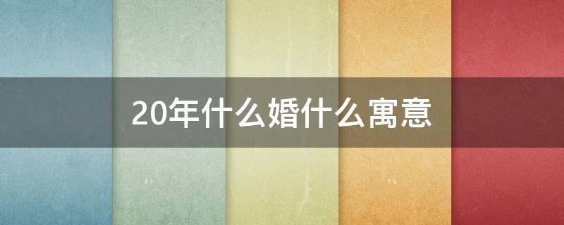 20年什么婚什么寓意（20年什么婚什么寓意好）