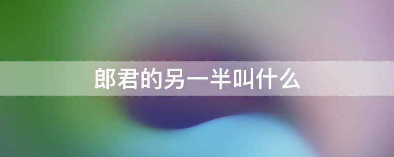 郎君的另一半叫什么（郎君的另一半怎么称呼）