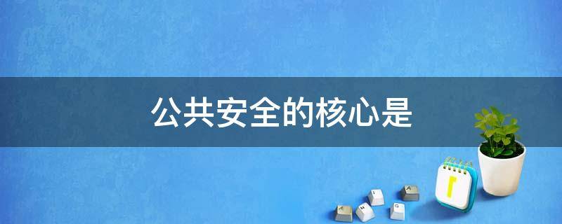 公共安全的核心是 公共安全的核心是答案