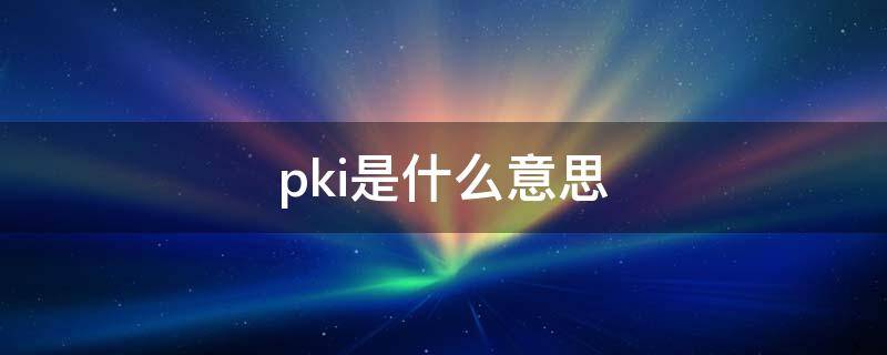 pki是什么意思 pki绩效是什么意思