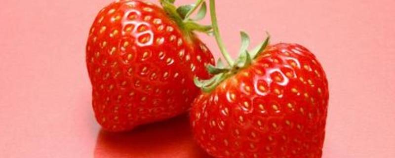 冬季是吃草莓的季节吗（冬季是吃草莓的季节吗为什么）