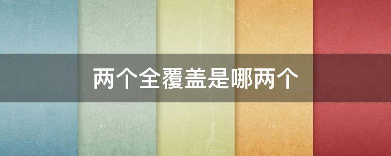 两个全覆盖是哪两个 两个全覆盖指的是什么意思