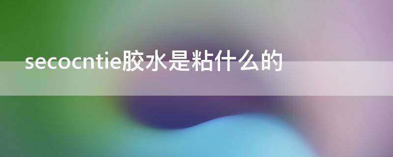 secocntie胶水是粘什么的 secocntle胶水