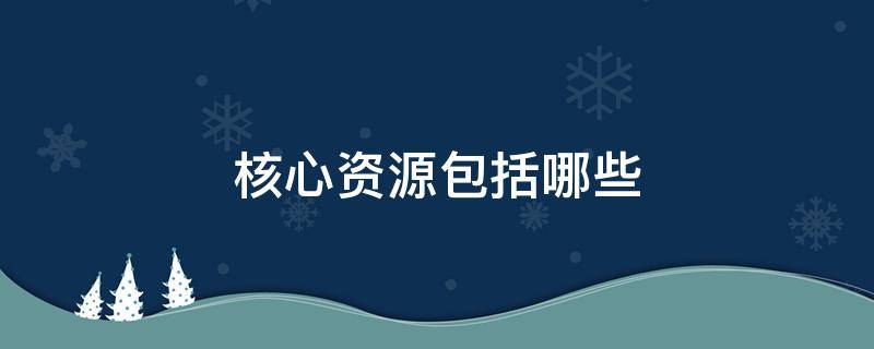 核心资源包括哪些 核心资源包括哪些竞争力