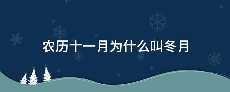 农历十一月为什么叫冬月 农历十一月为什么称为冬月
