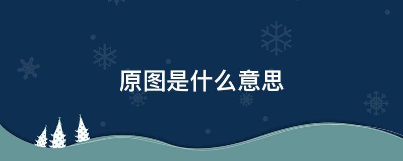 原图是什么意思（照片原图是什么意思）