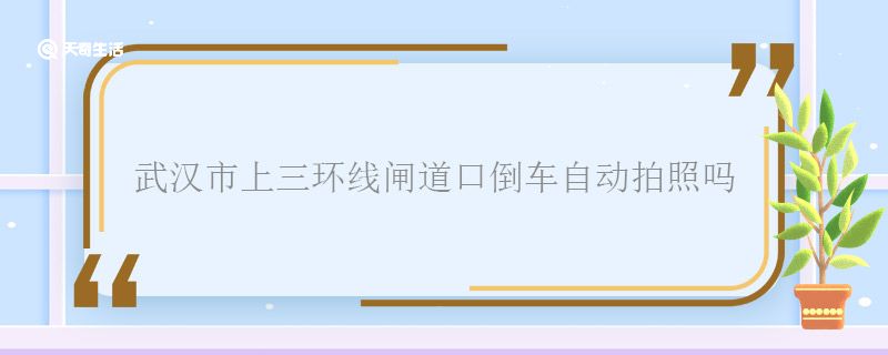 武汉市上三环线闸道口倒车自动拍照吗 武汉市上三环线闸道口倒车会拍照吗