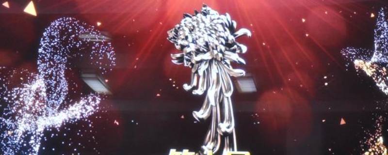 金菊花奖什么意思（金菊奖是什么奖）