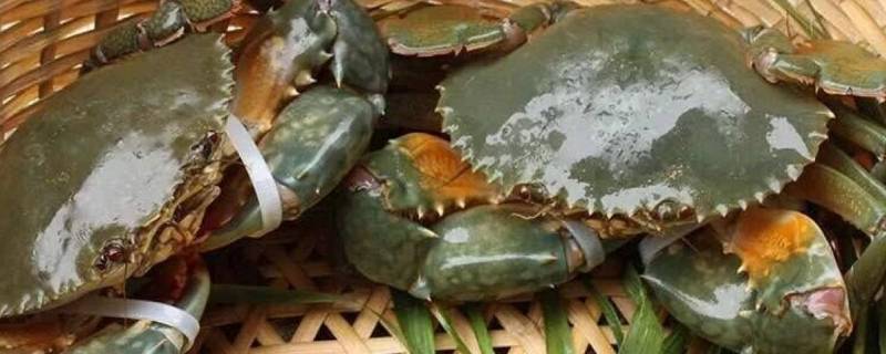 青蟹高压锅要蒸多久（青蟹高压锅蒸多久最佳时间）