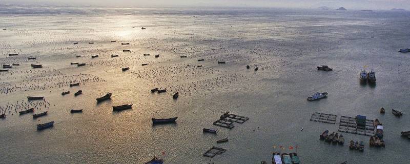 中国的舟山渔场建在什么流（中国的舟山渔场建在什么流显著的海域?）
