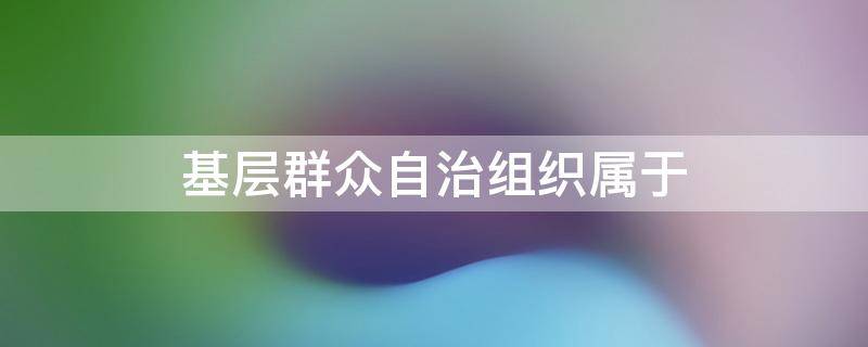 基层群众自治组织属于 基层群众自治组织属于政府吗