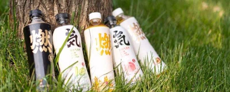 元气森林饮料是哪个公司的（元气森林饮料是哪个公司的电话）