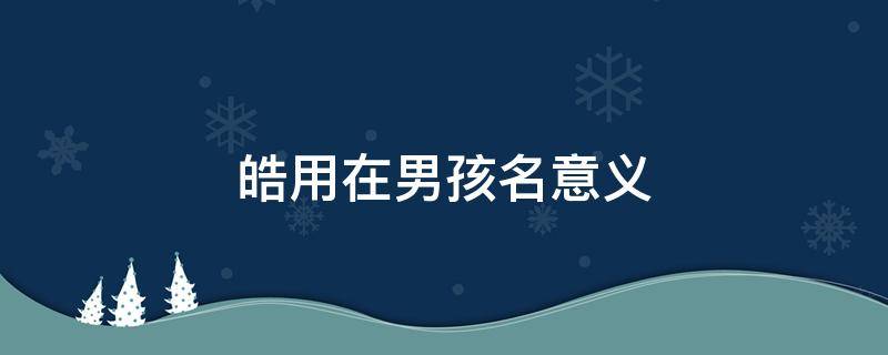 皓用在男孩名意义（浩用在男孩名意义）