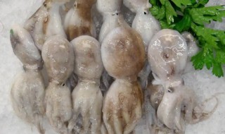 清洗干净的章鱼足是怎样的 章鱼脚怎么洗干净
