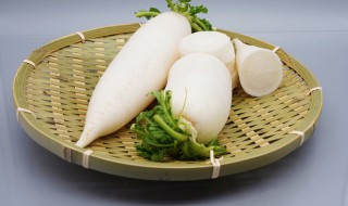 白萝卜怎么吃化痰（白萝卜吃化痰吗）
