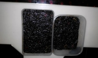 阿胶要放冰箱吗 黄酒泡阿胶要放冰箱吗