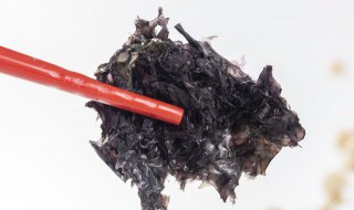 紫菜能放冰箱吗 紫菜能放冰箱吗夏天