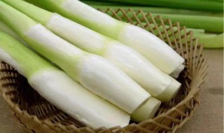 茭白可以放冰箱吗（新鲜茭白能放冰箱冷冻吗）