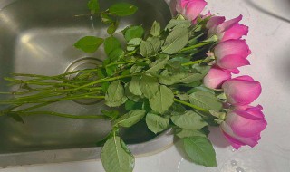 怎么醒花 怎么醒花,要放多少水