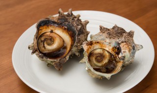 海螺能放冰箱冷冻吗 海螺能放冰箱冷冻吗