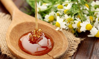 蜂蜜没有放冰箱会坏吗 蜂蜜没有放冰箱会坏吗?