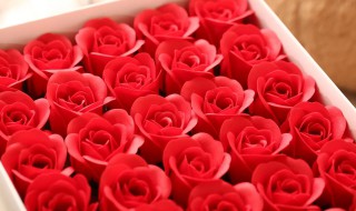 皂花是什么 皂花是什么花